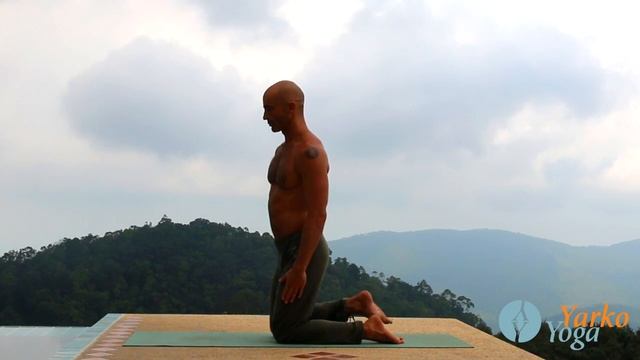 Йога для начинающих. Уштрасана.Поза верблюда.Ярослав Лукашевич смотреть онлайн