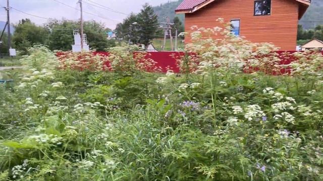 Эссо позор Часть 1