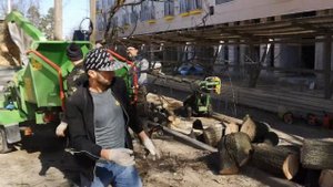 Измельчение веток деревьев в щепу в Москве и Области