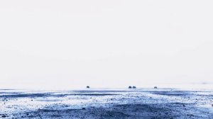 Трейлер "Сага о жителях древнего леса".mp4