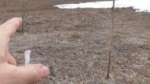 Открытие сезона 2024