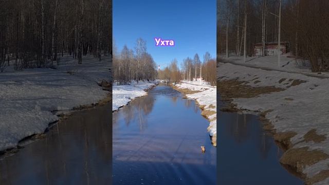 #Ухта …к нам прилетели уточки…Республика Коми…14.04.2024