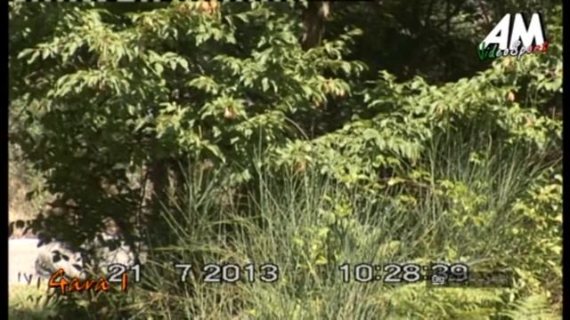 Semeraro Leonardo PSG 3° Salita Morano Campotenese смотреть онлайн