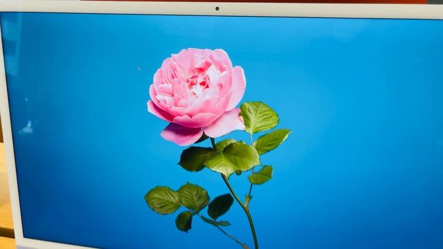 Apple iMac M1 🟣 First Look PURPLE POWERHOUSE!