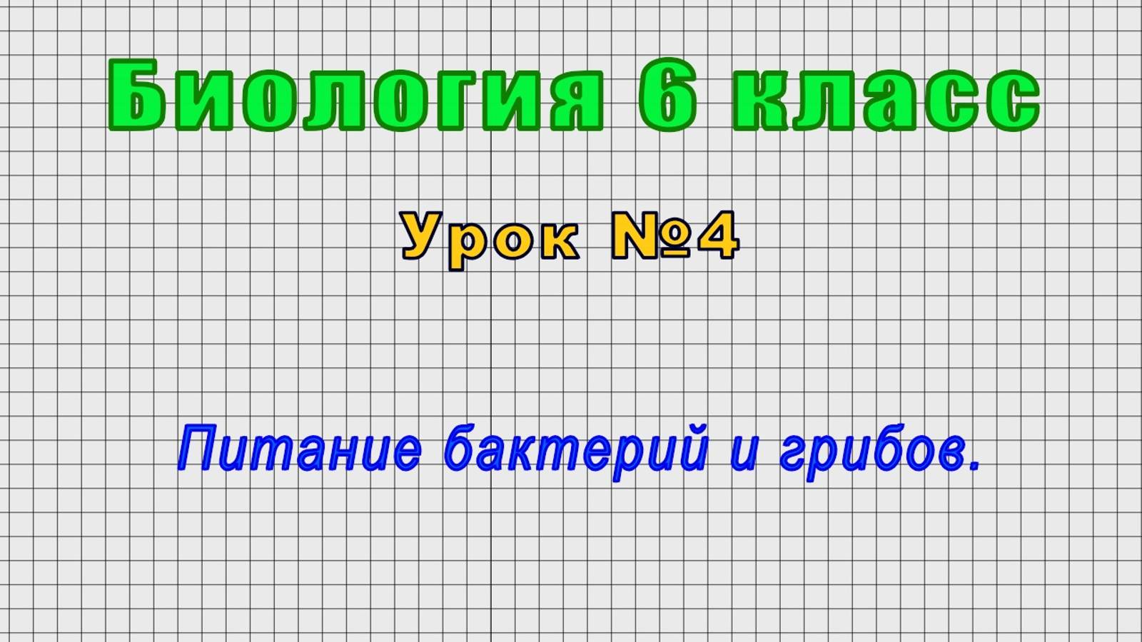 Биология 6 класс (Урок№4 - Питание бактерий и грибов.)