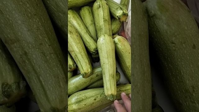 МОЛОДЫЕ КАБАЧКИ ЦУКИНИ ИЗ УНИВЕРСАМА ВЕРНЫЙ #shorts