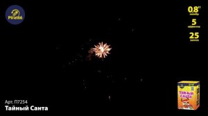 П7254 ТАЙНЫЙ САНТА