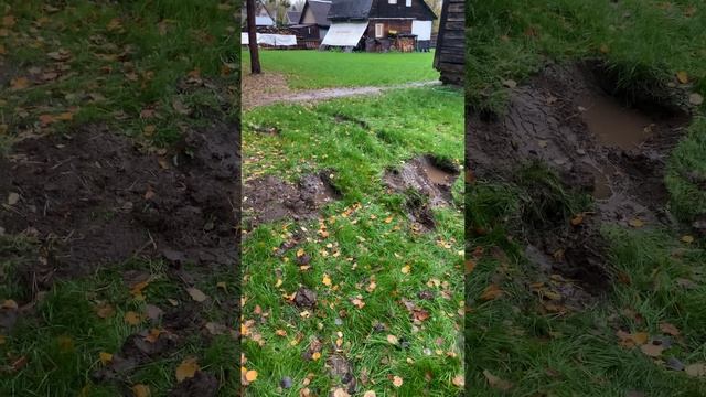 Было ошибкой ставить машину на свежий газон смотреть онлайн