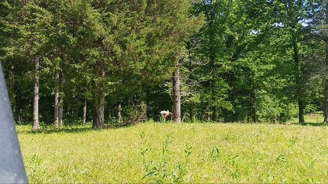 getting rid of some old scags смотреть онлайн