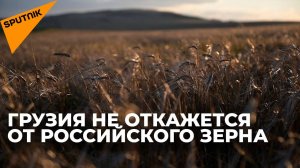 Грузинские хлебопеки не откажутся от российской муки, несмотря на заявления мукомолов