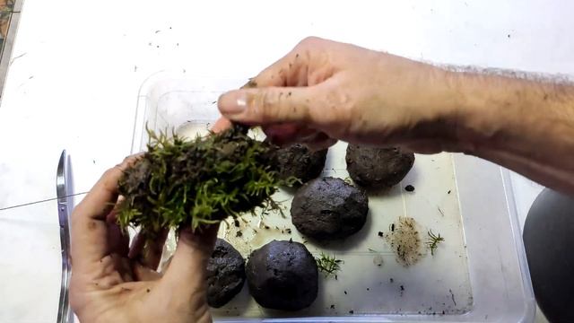 Изготавливаем вабикусу смотреть онлайн