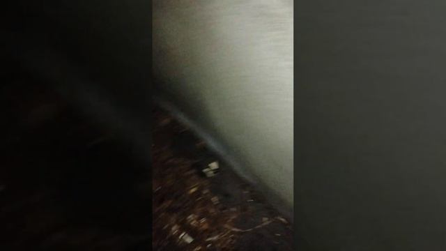 ИЩУ ТО САМОЕ ОКНО НОЧЬЮ #shorts