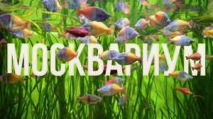 Москвариум