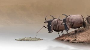 Трудно доказать истину без собственного опыта