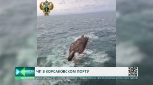 Грузовое судно перевернулось сегодня в порту Корсакова. Двое людей погибло.