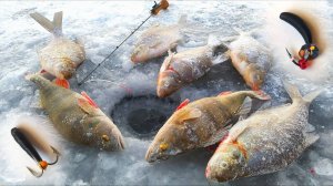 МОРОЗ ТРЕЩИТ, РЫБА КЛЮЁТ  !!! БЕЗМОТЫЛКА в деле !!! Первый лёд на водохранилище !