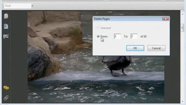 Course Promo: PDF Maker, Links, Bookmarks, Acrobat Features and Managing PDFs смотреть онлайн