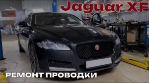 Jaguar XF ремонт проводки. Сгнила клема