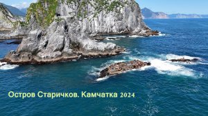 Остров Старичков. Камчатка 2024.
Морские котики.