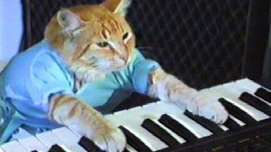 Korg Minilogue xd (Sound-Strim bass-drone) Студийный звук