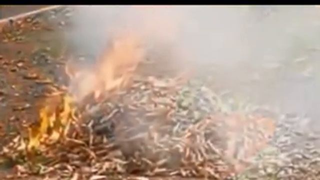 В минорных аккордах, Лена Юрьева1, муз. и исп. Самуил Фрумович смотреть онлайн