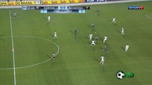 Eugenio Mena vs Botafogo