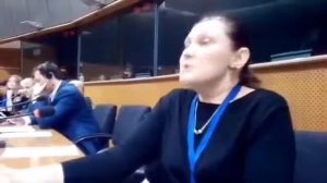 Татьяна Монтян выступает в Евро парламенте. Монтян говорит как есть . Укры в панике