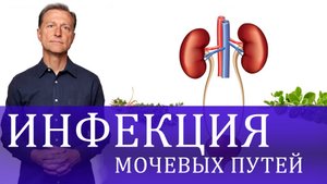 Средства от инфекции мочевыводящих путей