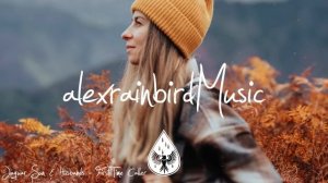 Indie/Rock/Alternative Compilation - November 2022 (2-Hour Playlist)