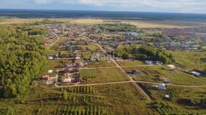 Лесная поляна