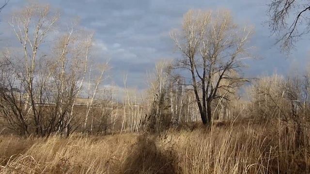 Октябрьское небо.