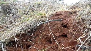 тест асе 150 с nel sneik и с Detech SEF WSS 15x8  и golden mask 1+uk на глубину