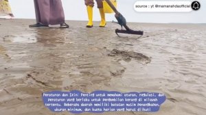 Macoma cumana memiliki penyebaran luas di perairan laut dan pesisir sebagian besar wilayah Eropa