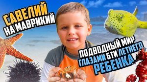 ПОДВОДНЫЙ МИР НА МАВРИКИЙ! КОГО ПОЙМАЕТ САВЕЛИЙ?