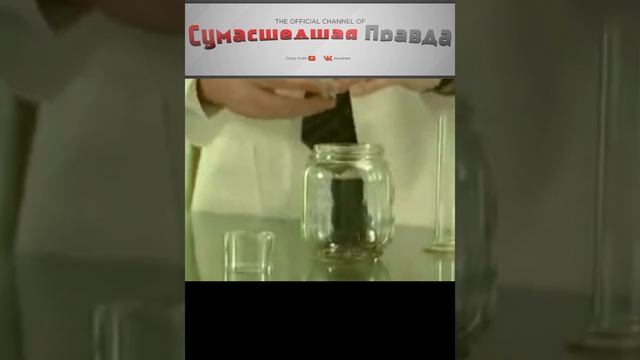 Топ 5 опасных насекомых. Блоха.