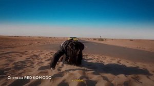 Топ 10 камер для цветокоррекции | Лучшая камера