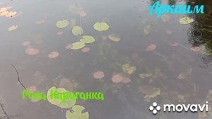 Аркаим. Караганка. 2022год