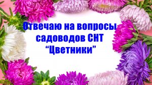Ответы на вопросы садоводов СНТ "Цветники".