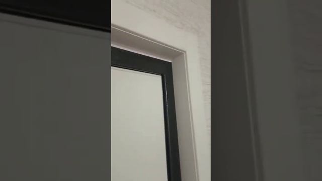 Аргус Люкс 3К, серебро антик, Соло капучино софт, белый лакобель смотреть онлайн