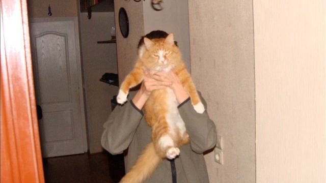 My Top 5 Songs .wmv смотреть онлайн