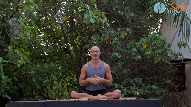 Йога.Пранаямы.Уджайи пранаяма .Ярослав Лукашевич смотреть онлайн