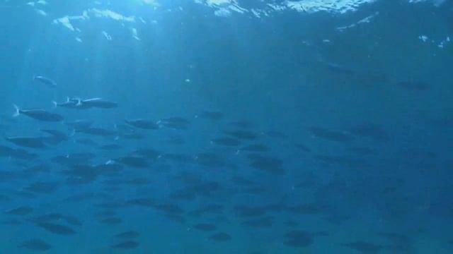 Sandija Vigante & Ralfs Eilands - Piecelies Un Ej смотреть онлайн