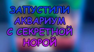 ЗАПУСТИЛИ АКВАРИУМ С СЕКРЕТНОЙ НОРОЙ #АКВАМЕН #СВОИМИ_РУКАМИ