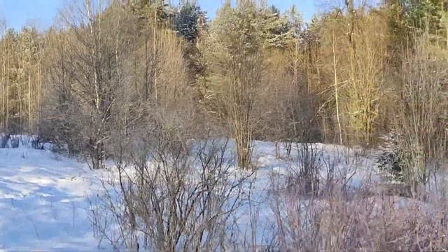 Скрип снега под ногами. ASMR АСМР: хруст снега