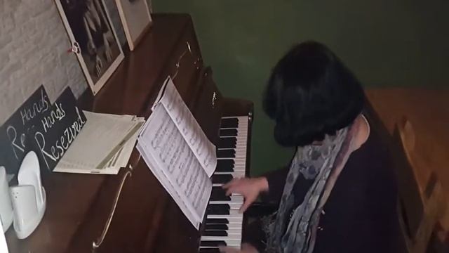 Երբ նվագում են ընկերները, Սվետլանա Նավասարդյան - Սուսերով պարը смотреть онлайн