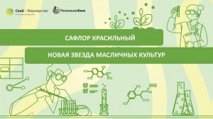 Сафлор красильный: новая звезда масличных культур