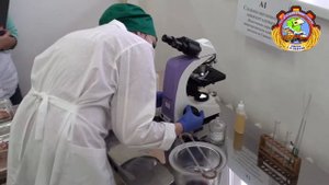 Площадка ветеринария