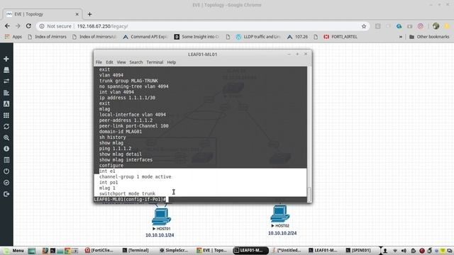 MLAG configuration & Design in Arista Switches|example with Peer link group|MLAG domainID Interface