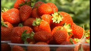 Фильм Левин Г.П.