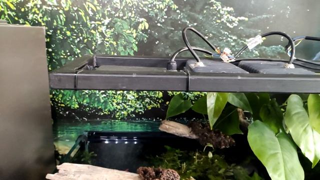 Светильник для аквариума на 600л, обзор стойки и крепления смотреть онлайн